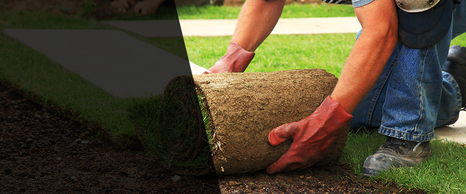 El Prado Landscapers